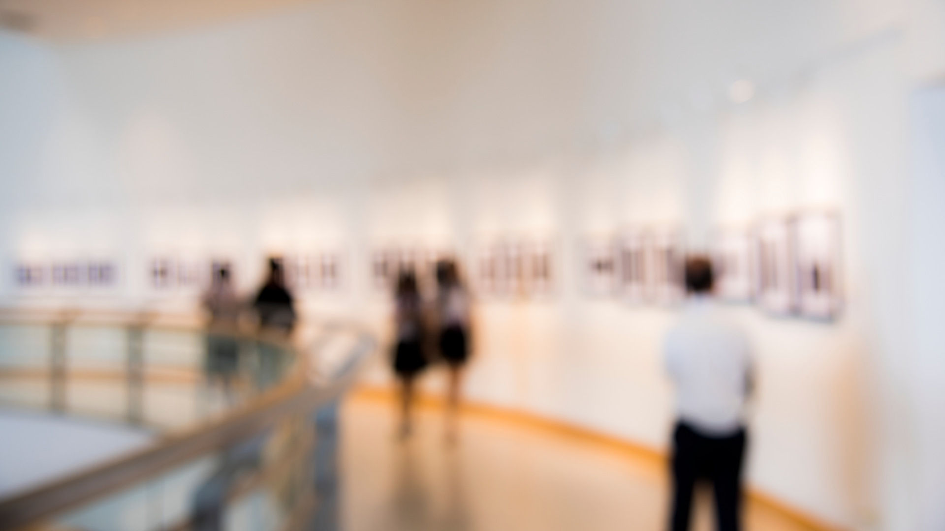 Exposição - Congue Lobortis Porta
